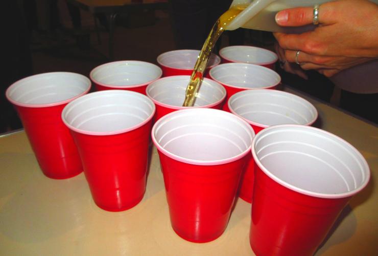 Beer Pong cups